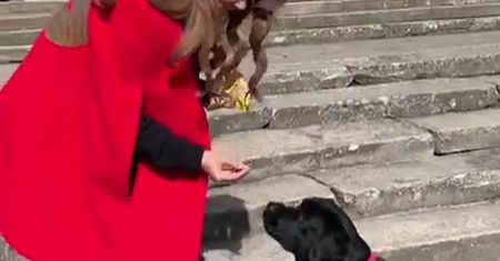 Edyta Górniak odpowiada na parodię Katarzyny Nosowskiej