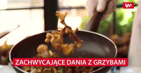 Zachwycające dania z grzybami