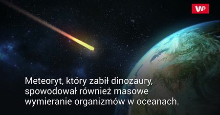 Wytępił nie tylko dinozaury. Niesamowite odkrycie naukowców w holenderskiej jaskini