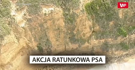 Akcja ratunkowa psa