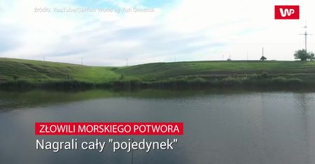 Złowili morskiego potwora