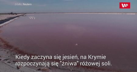 Poruszenie na Krymie. Rosjanie zrobili im niedźwiedzią przysługę