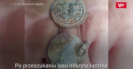 Wybrał się na grzyby. Sensacyjne odkrycie w lesie pod Słupskiem