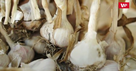 UOKIK ostrzega. Nagminnie oszukują nas na czosnku