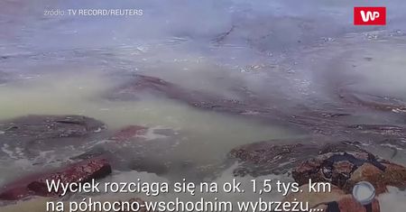 Ropa na brazylijskich plażach
