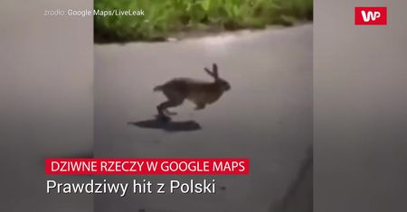 Dziwne rzeczy na Google Maps. Prawdziwy hit z Polski