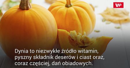 Dynia. Królowa jesiennych ogrodów