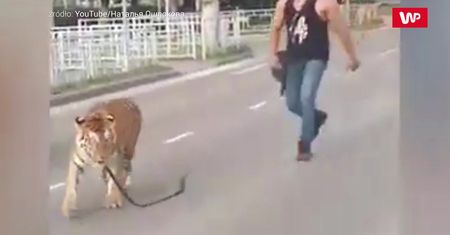 Pupilek zerwał się ze smyczy. Nagranie z Rosji
