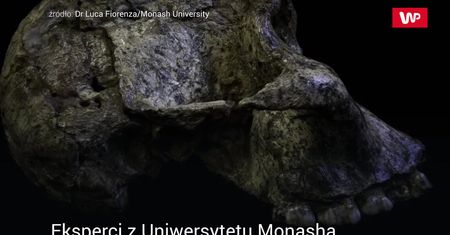 Zbadali mleczaki sprzed 3 mln lat. Niezwykłe, co ujawniły