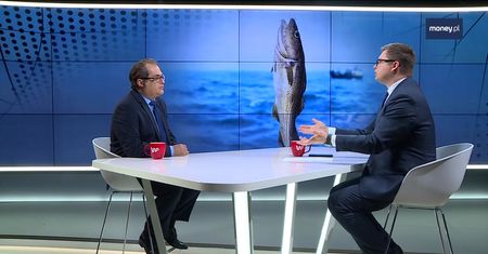 Chude dorsze. Ministerstwo robi, co może, żeby ryb było więcej
