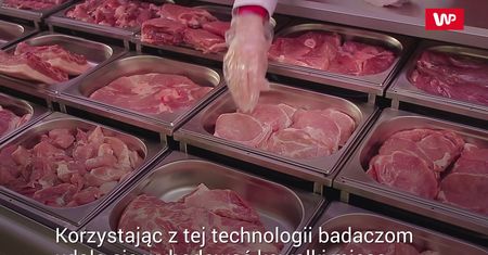 Steki z laboratorium