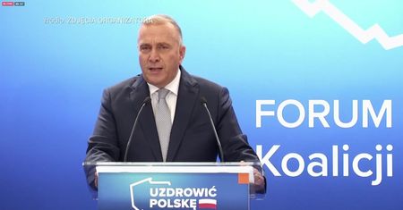 Wybory parlamentarne 2019. Schetyna: służba zdrowia się sypie