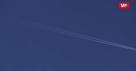 A jednak są niebezpieczne. Naukowcy ostrzegają przed palącym problemem