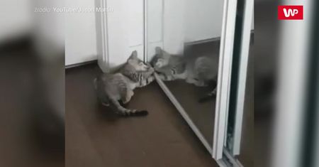 Pierwszy raz zobaczył się w lustrze. Dostał "kota"