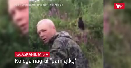Głaskanie małego misia