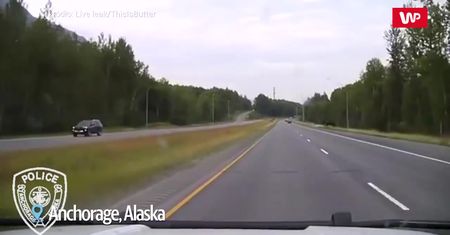 Klępa i łosiątko. Kierowcy zachowali się jak należy