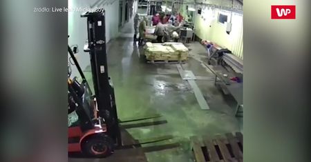 Nieproszony gość. Natychmiastowa reakcja pracowników