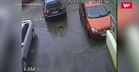Ja tu nie wjadę? Nagranie rozpaczliwych prób kierowcy