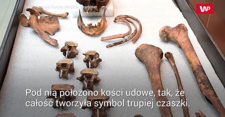 Wyciągnęli kości i zamarli. Makabryczny widok