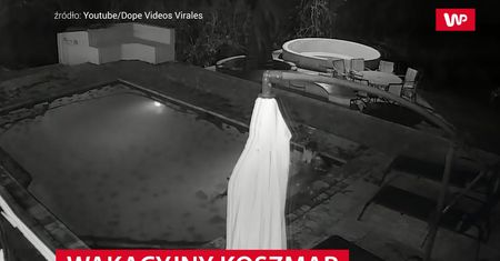 Nocna kąpiel w basenie. Para migiem wyskoczyła z wody