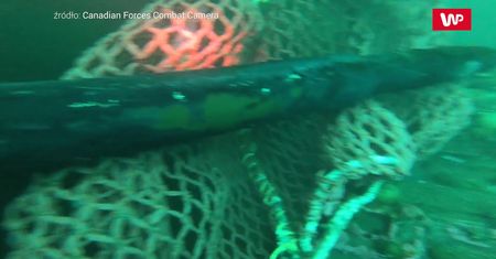 Tykająca bomba na dnie oceanu