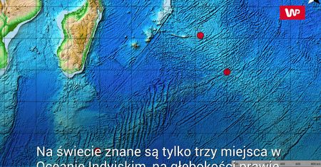 Żelazny mięczak. Niezwykłe zwierzę zagrożone