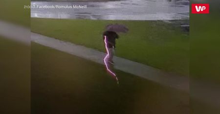 Prosto w parasol. Mężczyzna zapamięta tę chwilę na całe życie