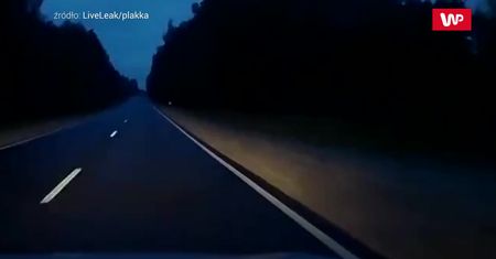 Wbiegł prosto pod auto. Kierowca i jego żona mieli niewiarygodne szczęście