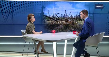 Lasy Państwowe wciąż walczą ze skutkami huraganu z 2017 roku. Wydały już 700 mln zł