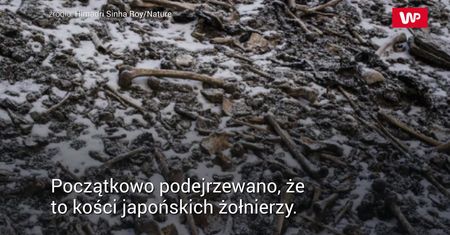 Jezioro szkieletów