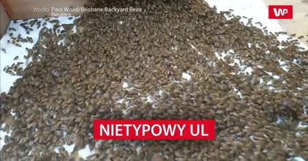 Mieszkała z nimi prawie rok. Trudno uwierzyć, co ukryło się w domu