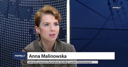 Co dalej ze sklepami Lasów Państwowych? Malinowska: zmiana planów