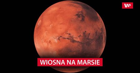 Niebywałe znalezisko na Marsie. Oto co sfotografowała sonda