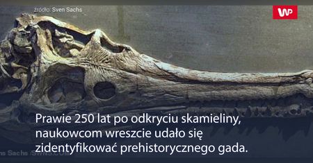 5 metrów wielkości. Nikt nie chciałby go spotkać