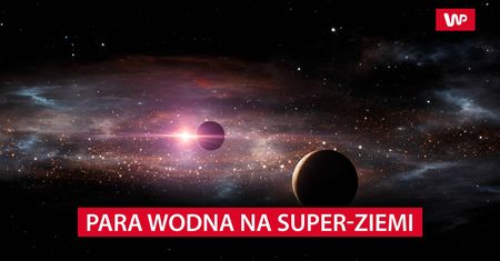 Sensacyjne odkrycie. Badacze nigdy nie spotkali się z czymś takim