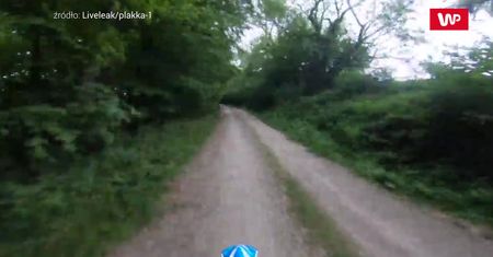 Jechał na rowerze. Kamera nagrała, co stało się chwilę potem