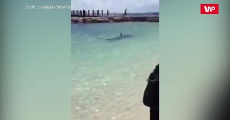 Plażowicze nie kryli przerażenia. Zobacz nagranie