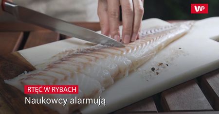 Rtęć w rybach. Naukowcy alarmują