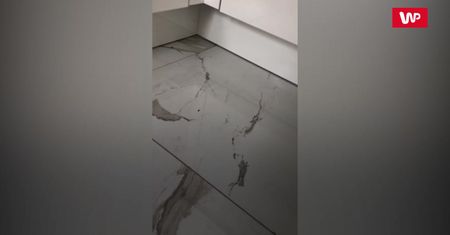 Kocia kryjówka. Nie uwierzysz, skąd wyszedł