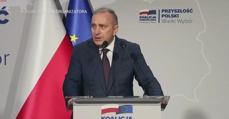 "W tłumie czekających zaczęli już umierać ludzie". Grzegorz Schetyna o służbie zdrowia