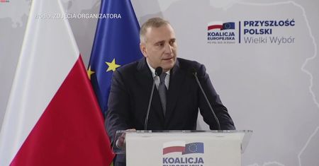 Grzegorz Schetyna na konwencji KE. "Kolaboranci i Wehrmacht"