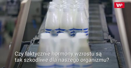 Hormony w mleku. Sprawdź ich wpływ na zdrowie