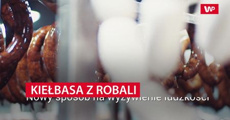 Kiełbasa z robali. Nowy sposób na wyżywienie ludzkości