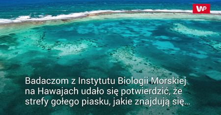 Jasne kręgi wokół australijskiej rafy