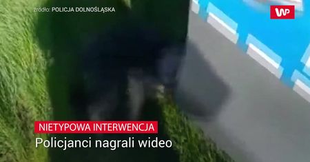 Nietypowa interwencja. Nagranie policjantów