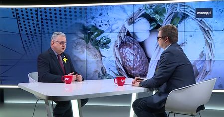 Zakupy na Wielkanoc. Inspekcja sanitarna tłumaczy, która żywność jest bezpieczna