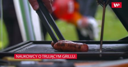 Najgorszy wybór na grilla. Naukowcy apelują: nawet 16 szkodliwych substancji