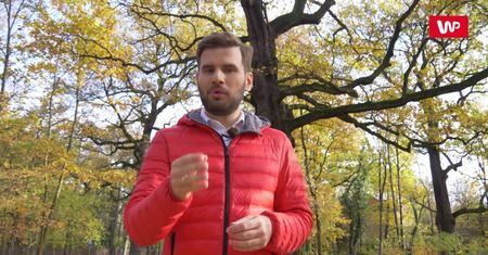Choć są śmiertelnie niebezpieczne, to rekordzista przeżył aż siedem porażeń piorunem
