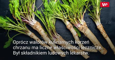 Chrzan w korzeniu - lecznicze właściwości