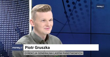 Po choinki "prosto z lasu" ustawiają się kolejki. Drzewko od leśnika jest znacząco tańsze